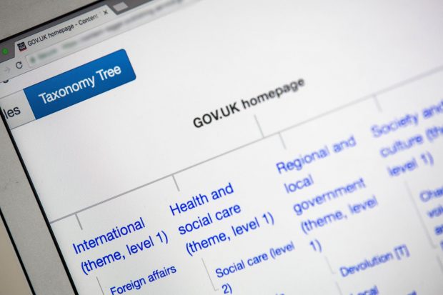 A section of the GOV.UK taxonomy tree showing 3 themes at level 1: 'International'. 'Health and social care' and 'Regional and local government'